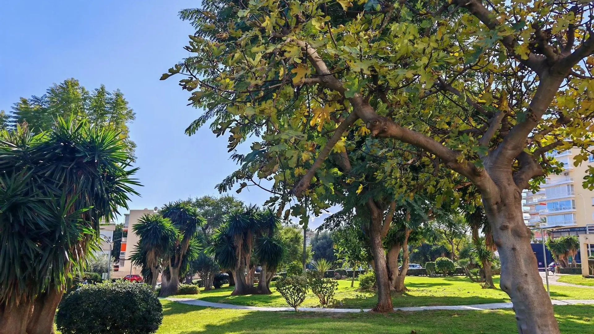 Casa Rosa At Green Parrot Apartments At Carihuela Torremolinos 0*,  Spain