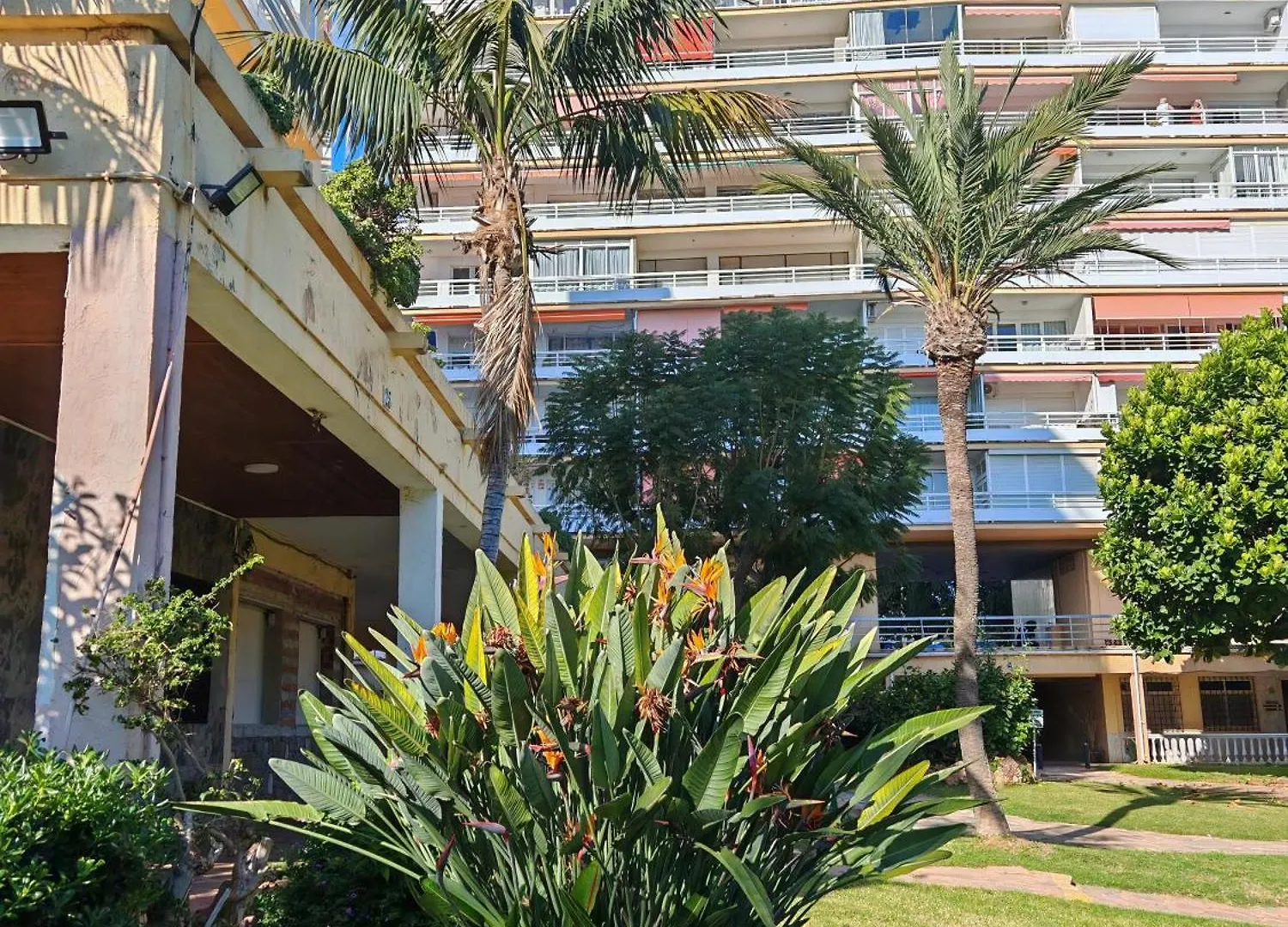 Casa Rosa At Green Parrot Apartments At Carihuela Torremolinos Spain
